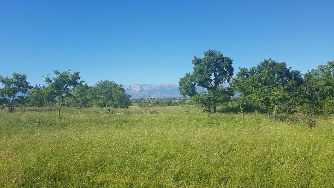 Savrsen Odmor U Villa Ivona Zadar Buitenkant foto